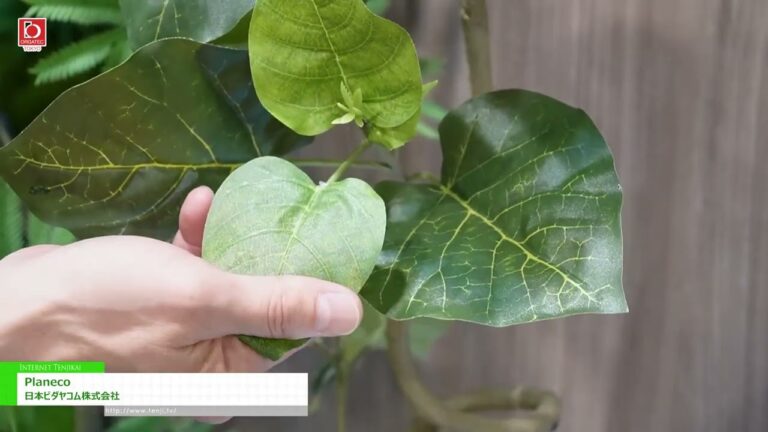 [ORGAREC TOKYO 2025] Planeco - VIDHAYAKOM CO.,LTD.